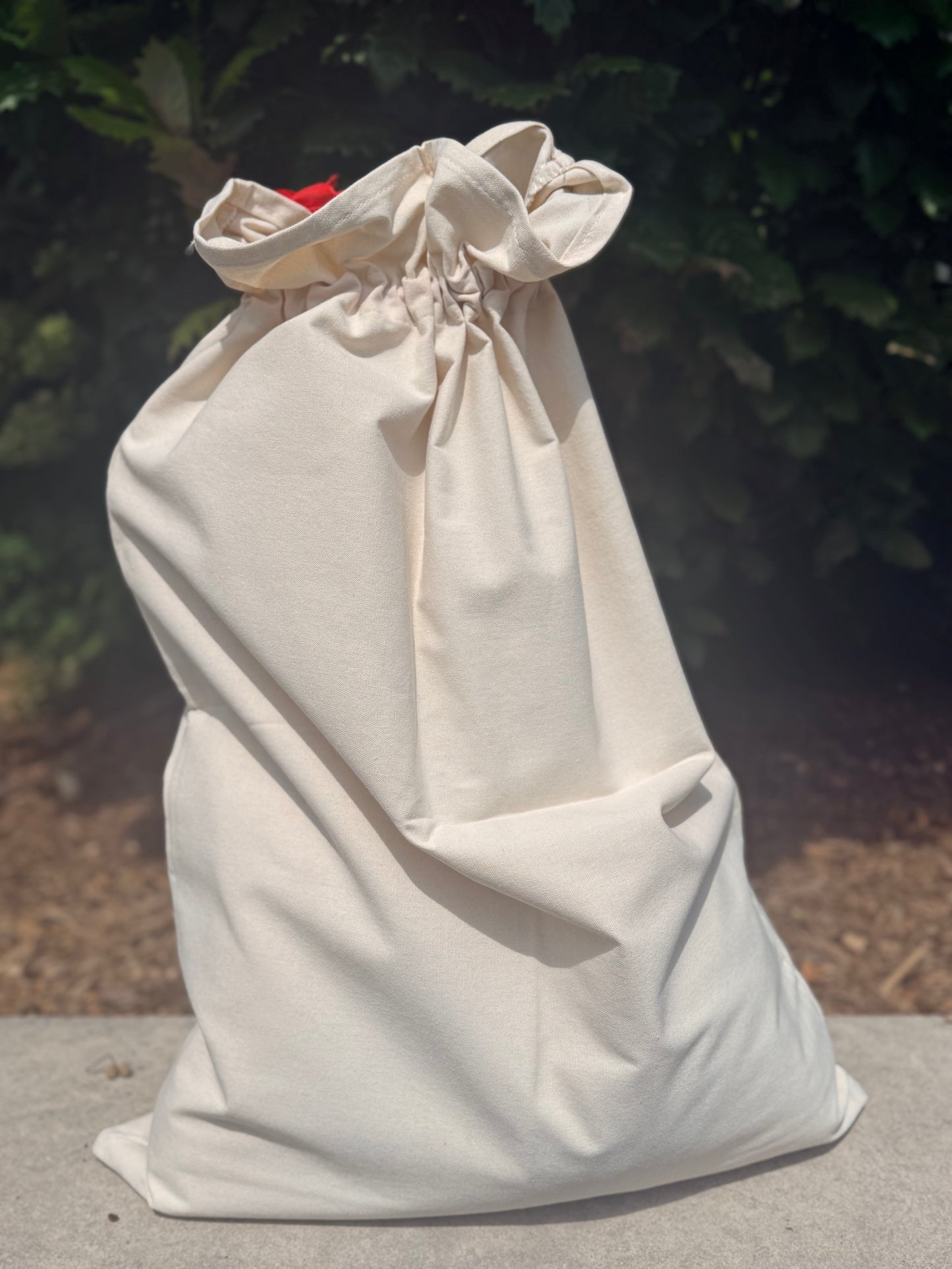 Santa Bag